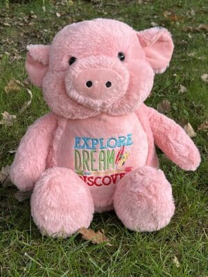 Patrick - Explore, Dream, Discover