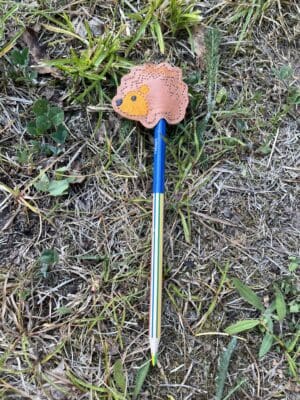 Hedgehog pencil