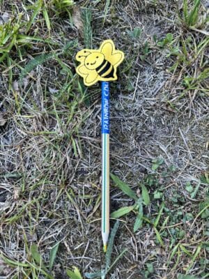 Bee pencil