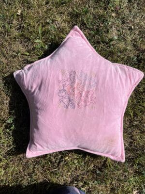 Unicorns star cushion