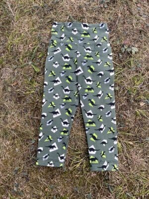 Ladybug leggings: Dinos 18-24m